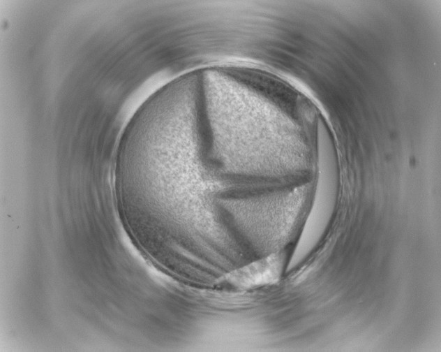 X0000054461007200508191657