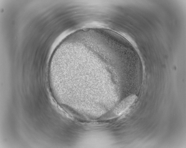 X0000054461008200508191657