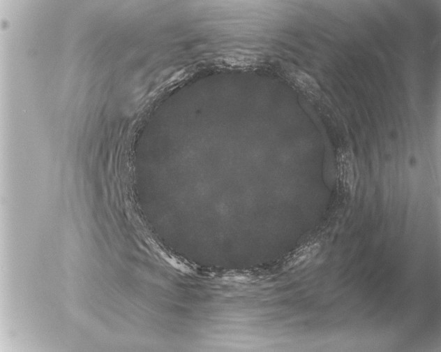 X0000054461009200508191657