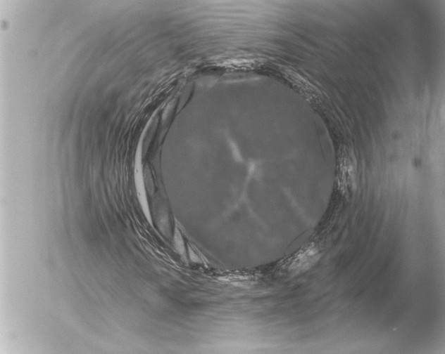 X0000054461010200508191657