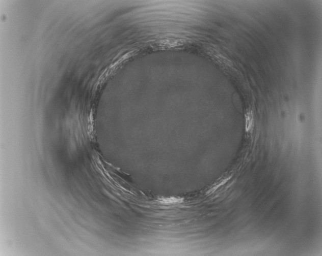 X0000054461011200508191657