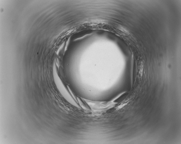 X0000054461014200508191657