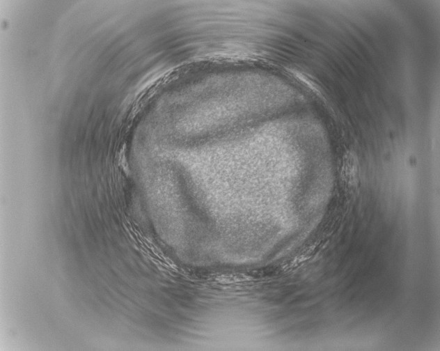 X0000054461015200508191657