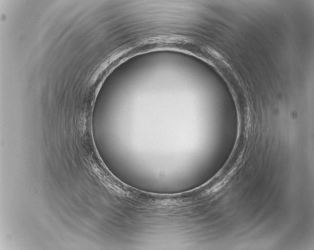 X0000054461017200508191657