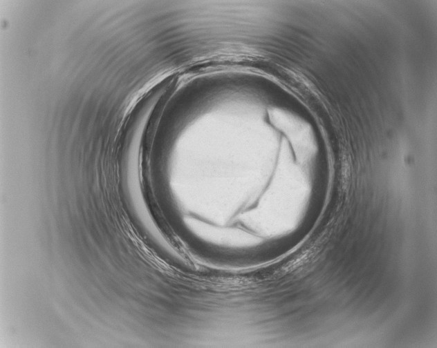 X0000054461018200508191657
