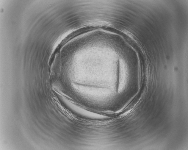 X0000054461022200508191657