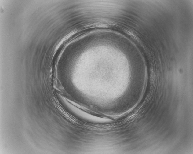 X0000054461026200508191657