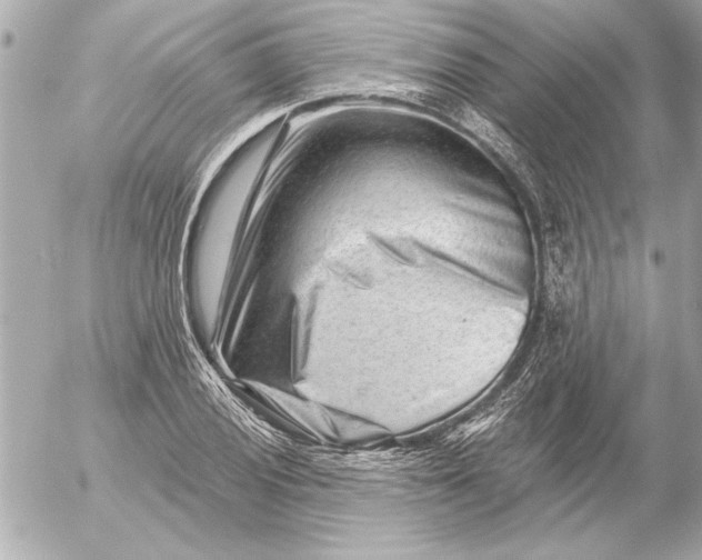 X0000054461028200508191657