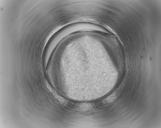 X0000054461029200508191657