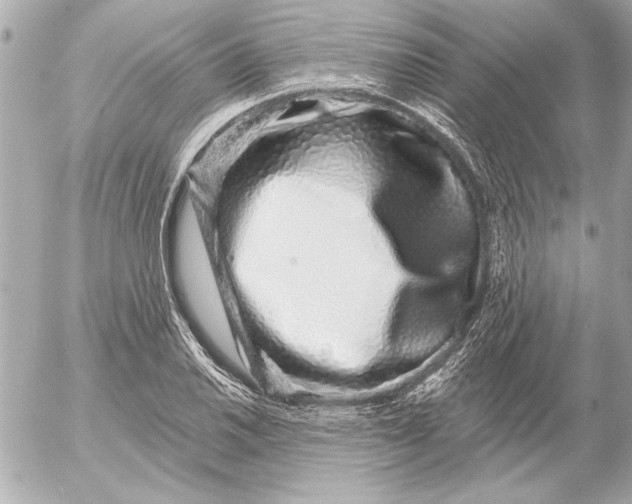 X0000054461030200508191657