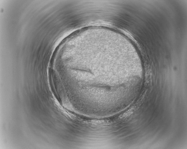 X0000054461032200508191657