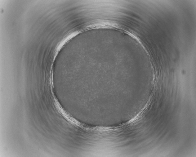 X0000054461034200508191657