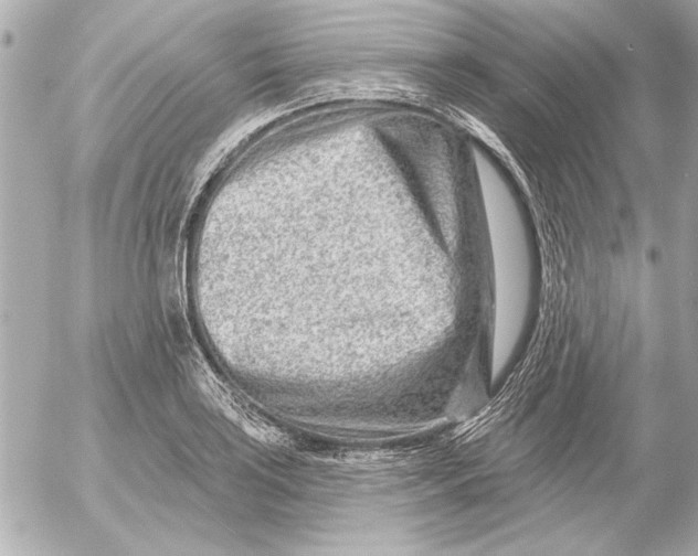 X0000054461035200508191657