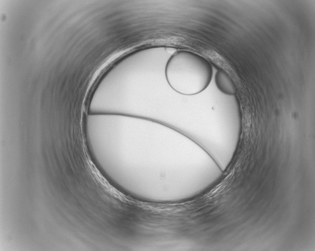 X0000054461036200508191657