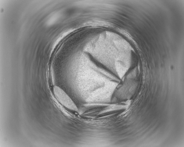 X0000054461040200508191657