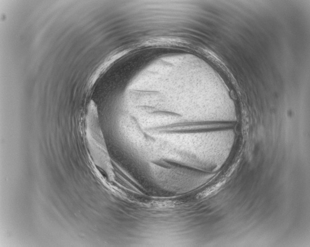 X0000054461041200508191657