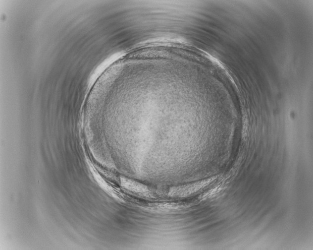 X0000054461042200508191657
