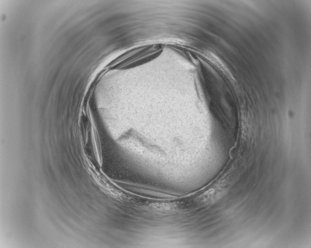 X0000054461044200508191657