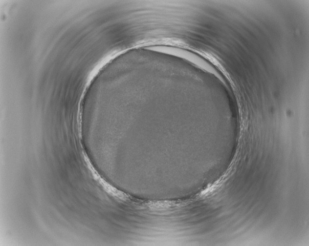 X0000054461046200508191657