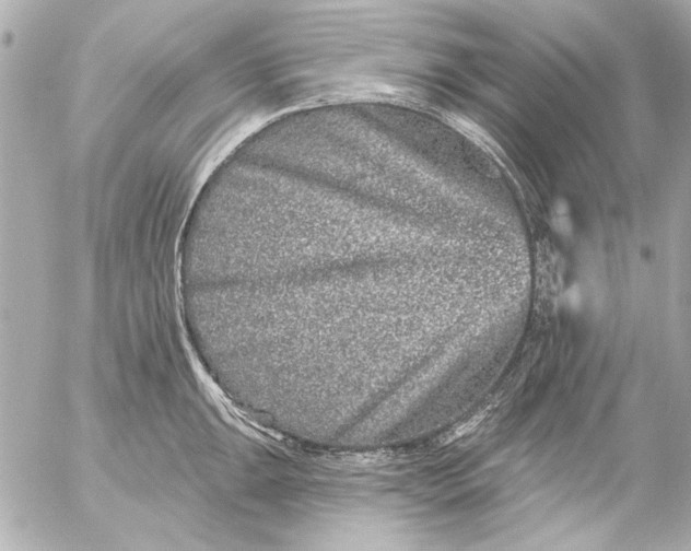 X0000054461047200508191657