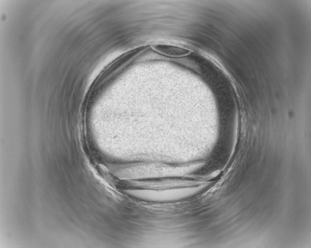 X0000054461048200508191657