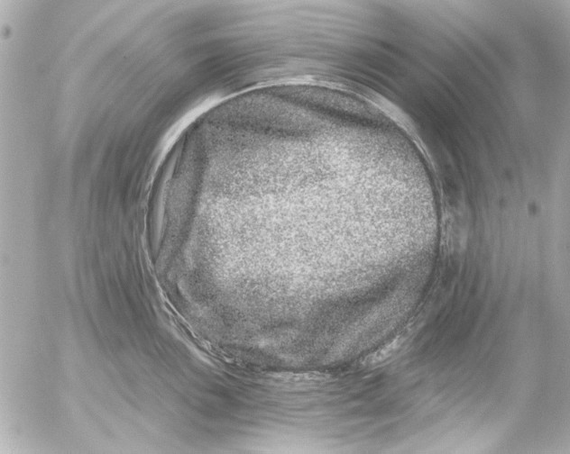 X0000054461051200508191657