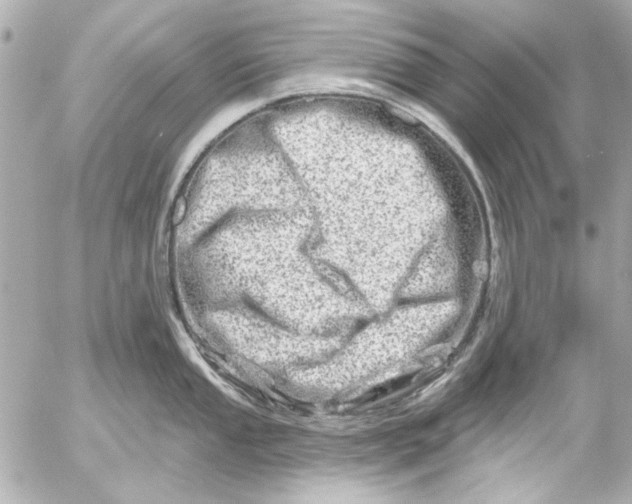 X0000054461053200508191657