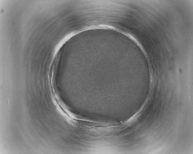 X0000054461054200508191657