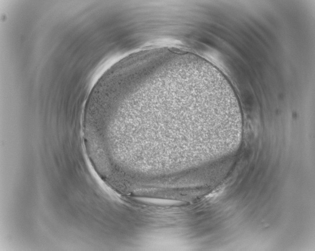 X0000054461055200508191657