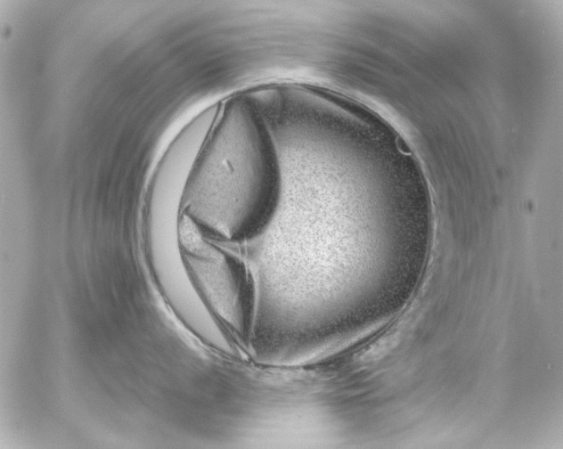 X0000054461056200508191657