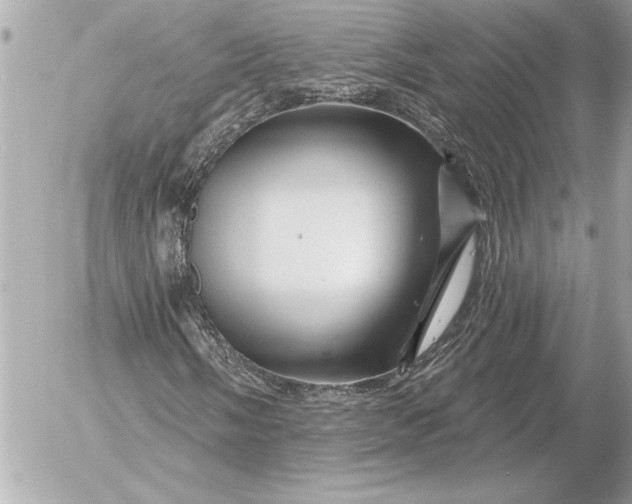 X0000054461058200508191656