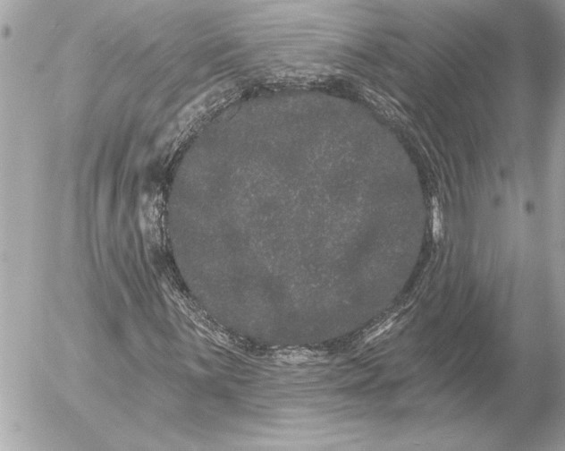 X0000054461059200508191656