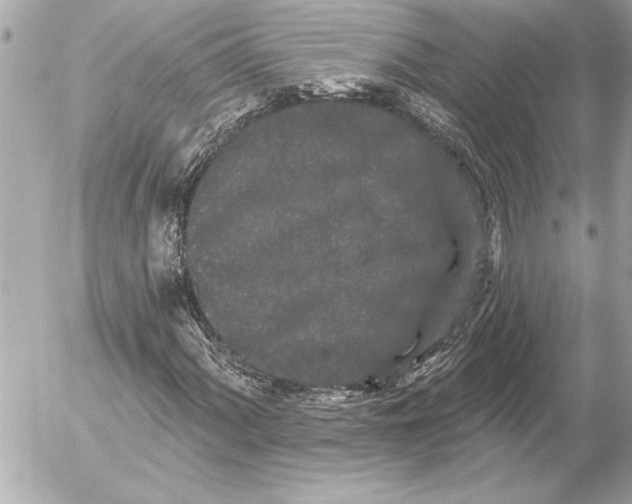 X0000054461060200508191656