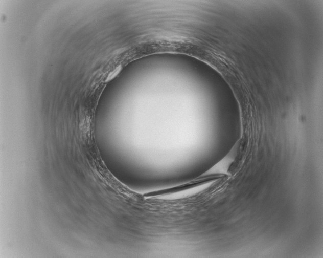 X0000054461061200508191656