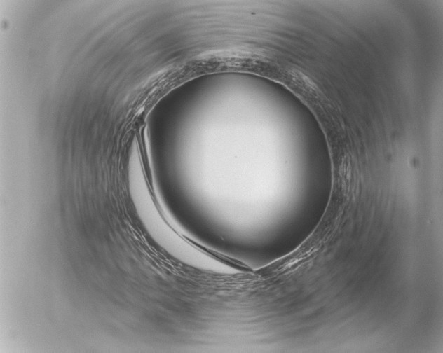 X0000054461062200508191656