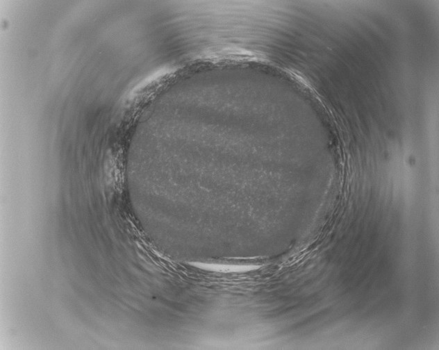 X0000054461063200508191656