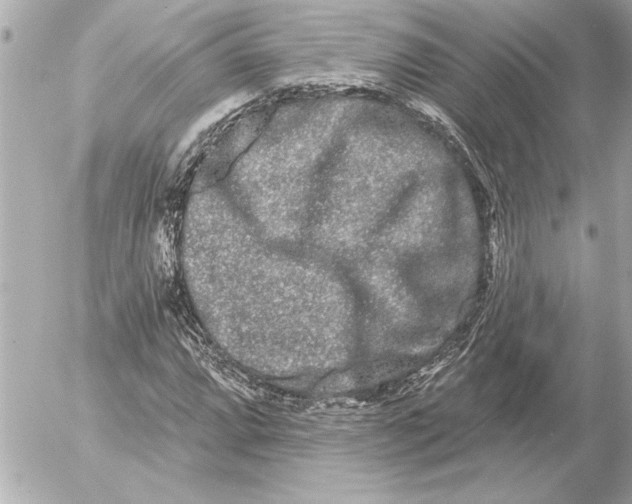 X0000054461064200508191656