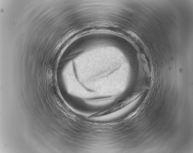 X0000054461065200508191656