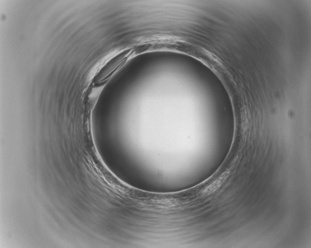 X0000054461066200508191656