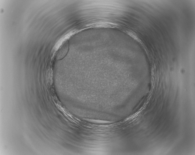 X0000054461067200508191656