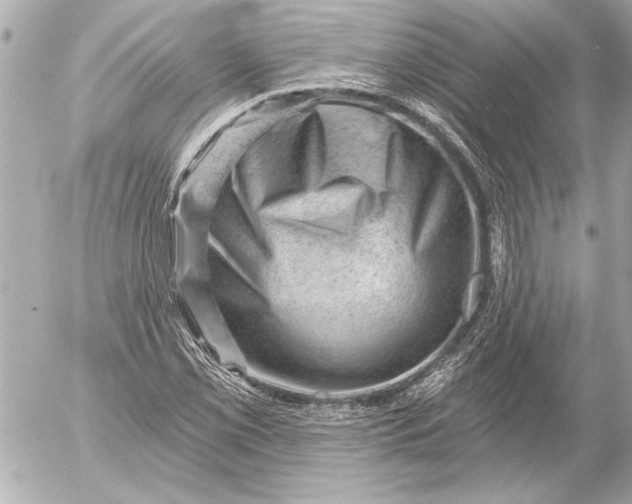 X0000054461069200508191656