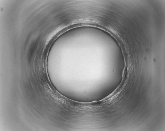 X0000054461070200508191656