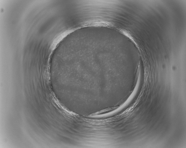 X0000054461071200508191656