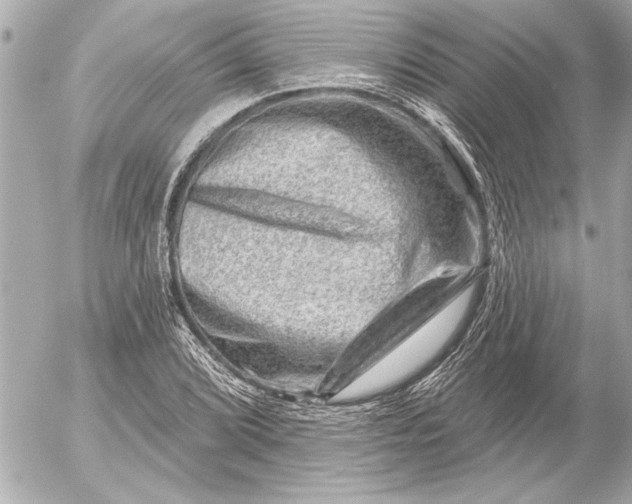 X0000054461072200508191656