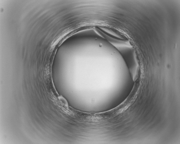 X0000054461073200508191656