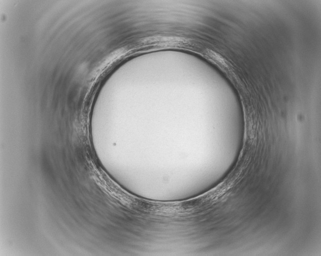 X0000054461074200508191656