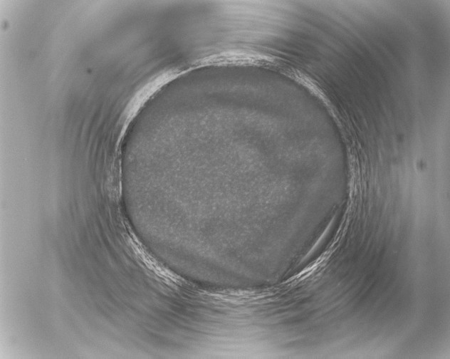 X0000054461075200508191656