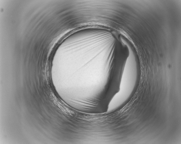 X0000054461076200508191656