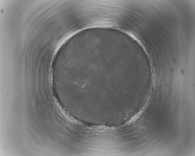 X0000054461077200508191656