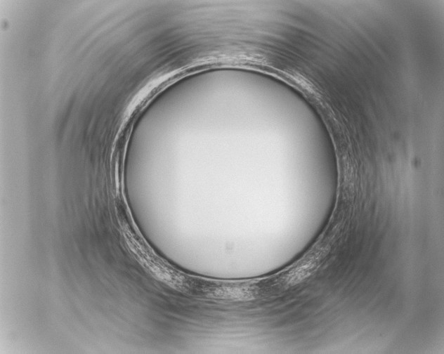 X0000054461078200508191656